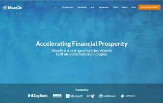 Vancouver Web Development Bluzelle WordPress