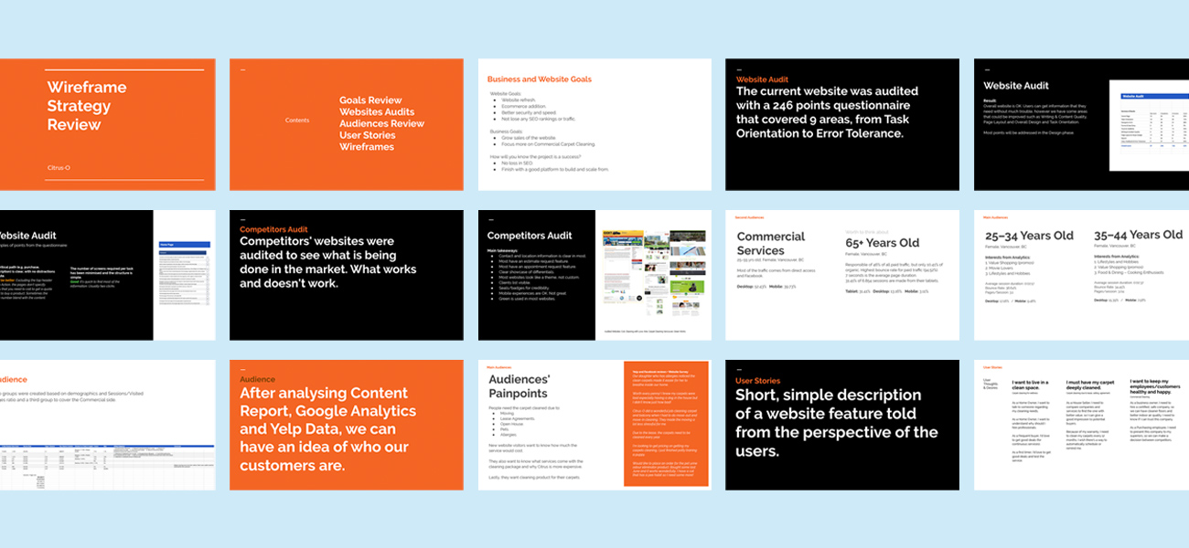 Smart Digital Strategy & Digital Marketing helped Citrus-O increase conversions by 389%