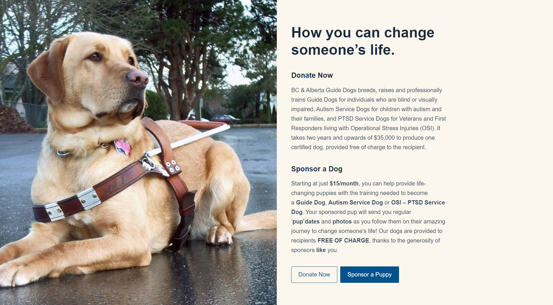 Call to Action on BC & Alberta Guide Dogs non-profit website.